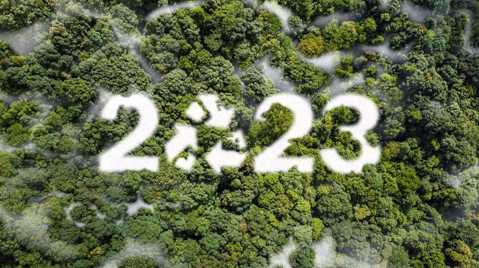 Brevet 2022 maths : corrigé complet et solutions vidéo